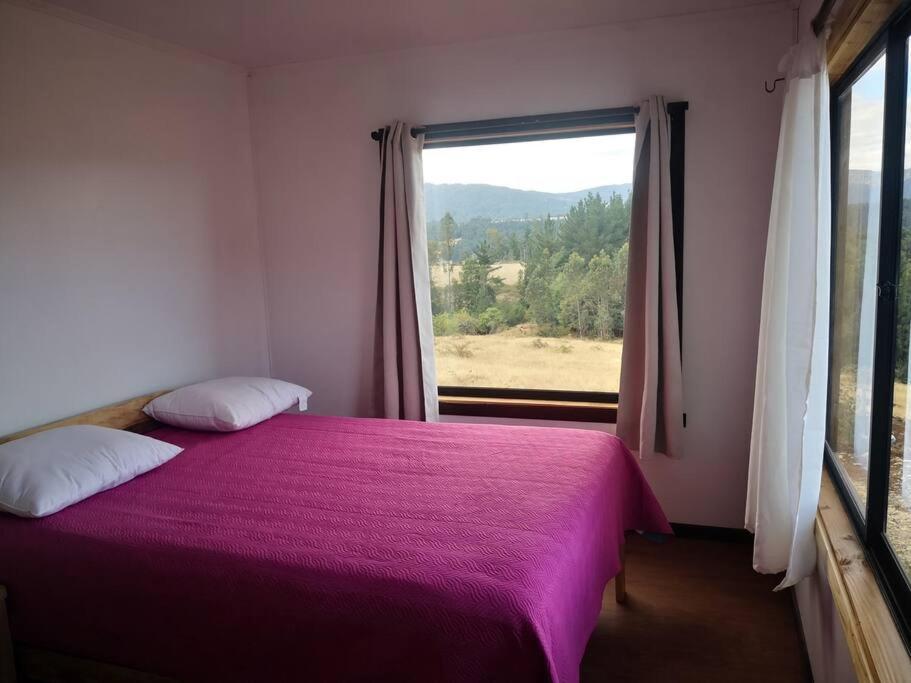 Ruka Wentu - Casa De Arriba Con Vista Hermosa Casa de férias Malalhue